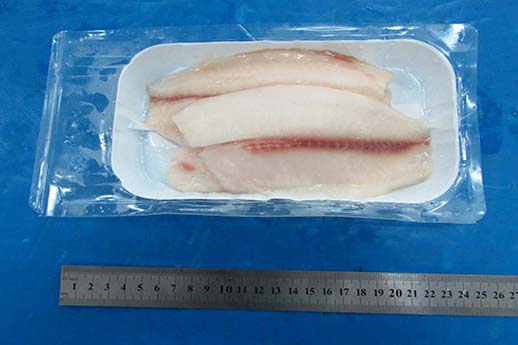 Tilapia fillet